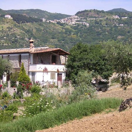Villa Agriturismo Acampora Cerchiara di Calabria Exterior foto